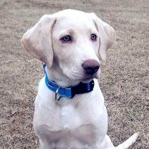 Meet your Posher, Wanda